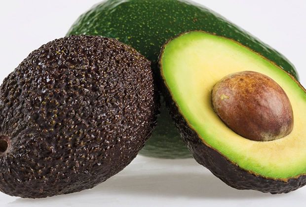 abacate-e-o-avocado