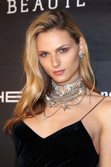 Andreja Pejić